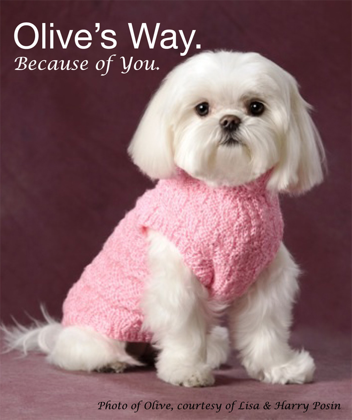 Olive, during her promotional photo shoot for Olive's Way.