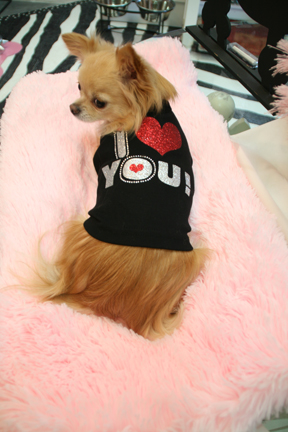 Nothing says "Be Mine" than the I Heart You tee shirt from One Lucky Dog, St. Pete.