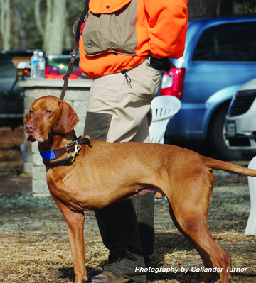 Bart with Darcy, getting ready for a run to guide Wounded Warriors.