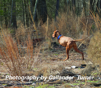 Bart, on point. Love, in bright luminescent letters.