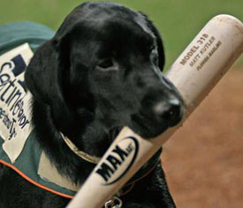 Miss Babe Ruth made her debut with the Greensboro Grasshoppers in 2006.