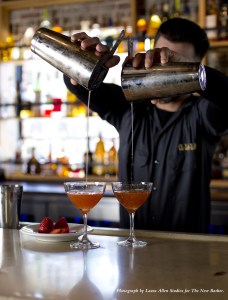 The beautiful Bloodhound.