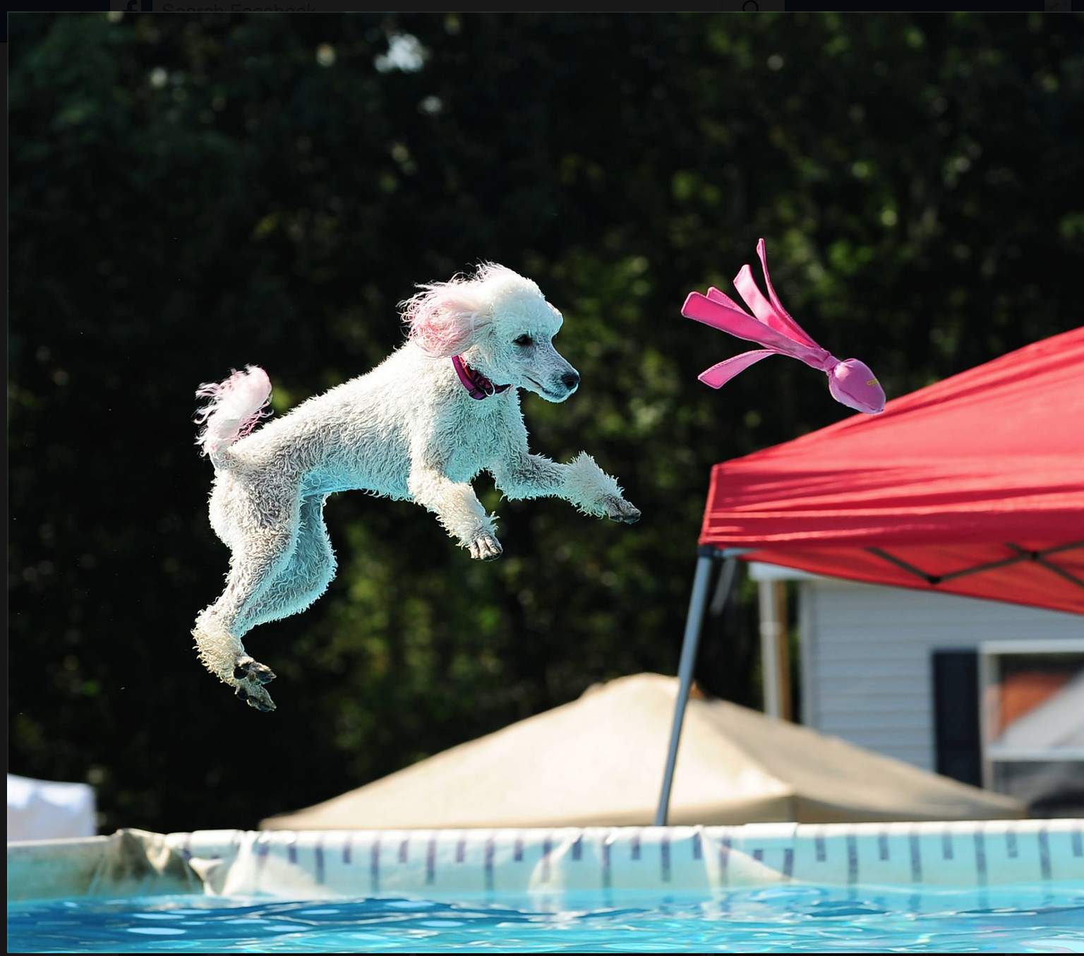 Screen Shot 2015-11-30 at 7.02.43 PM