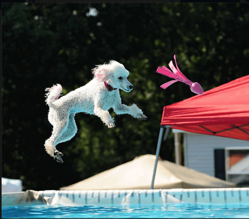 Screen Shot 2015-11-30 at 7.02.43 PM