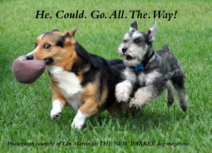 guiness_running_back-copy