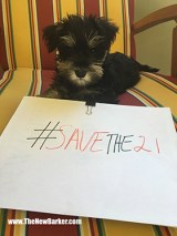 Angel_#SaveThe21