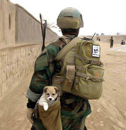 One Dog At A&nbsp;Time.