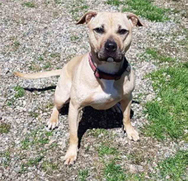 Florida Bound For A Fresh&nbsp;Start.