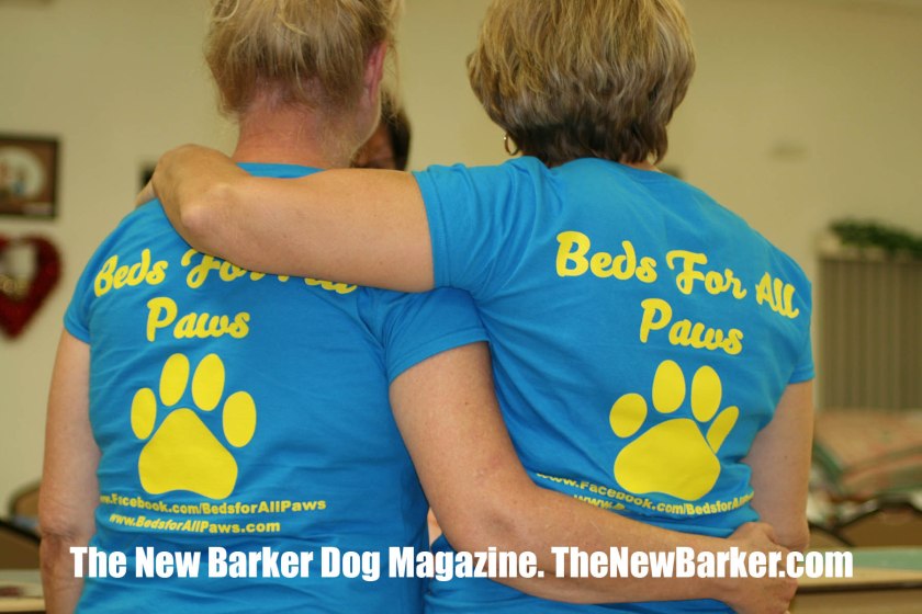 IMG_9996_TheNewBarker_C