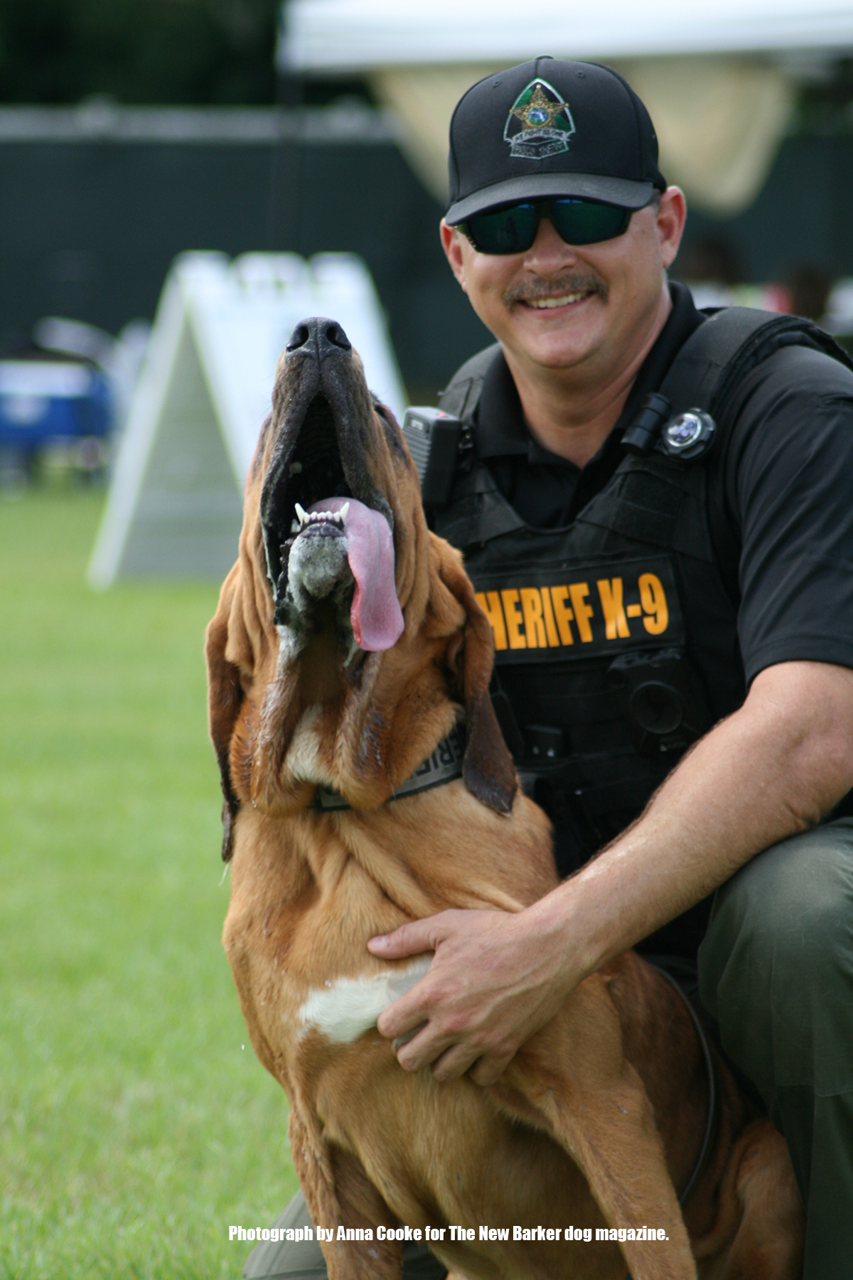 Meeting Fellow Dog&nbsp;Lovers