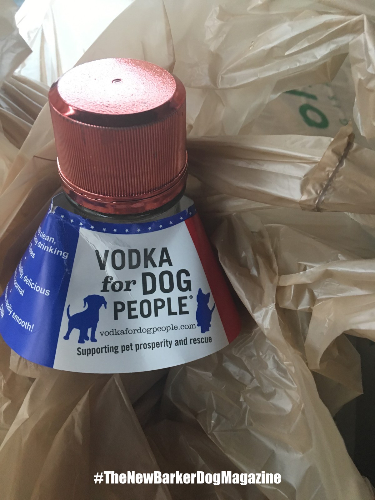 An Underdog Becomes Leader of the&nbsp;Pack.