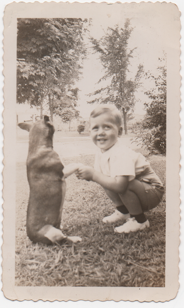 The Cooke Family Dog.