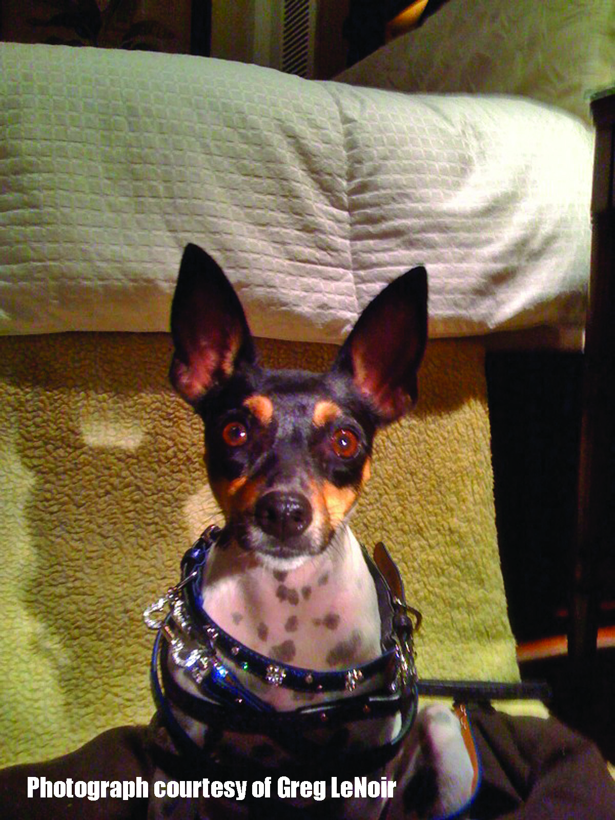 Jake and the&nbsp;Shark