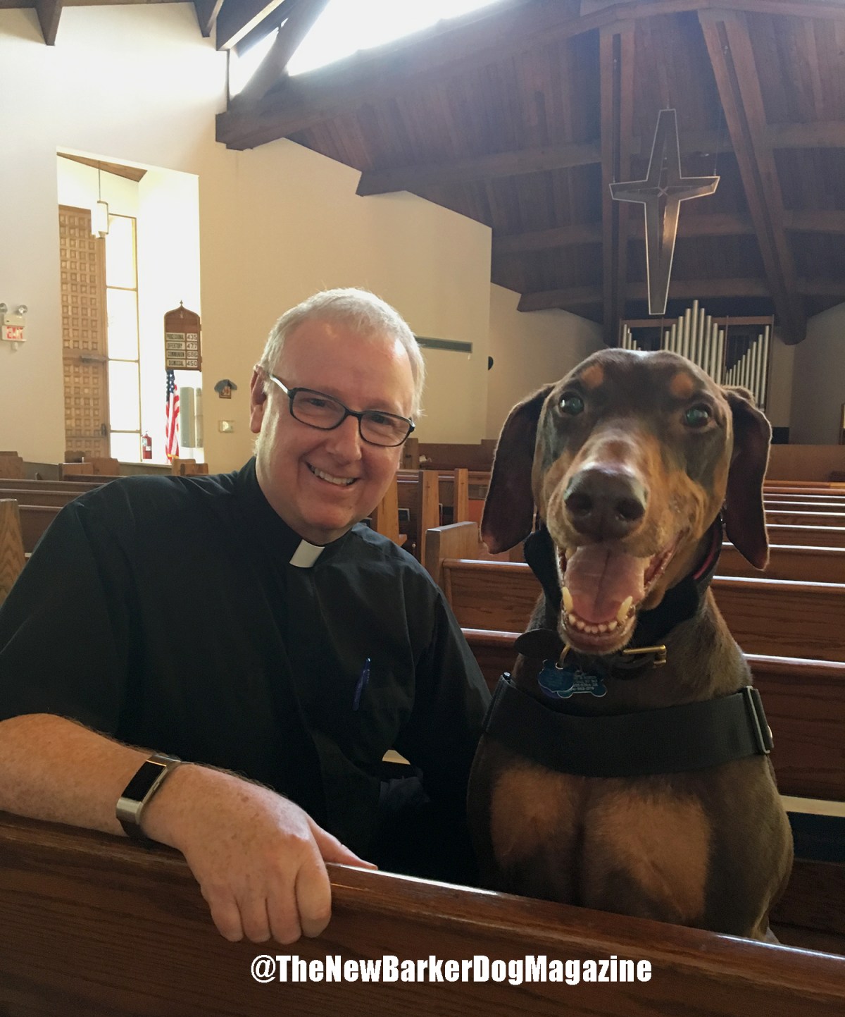 The Faith Of&nbsp;Dogs