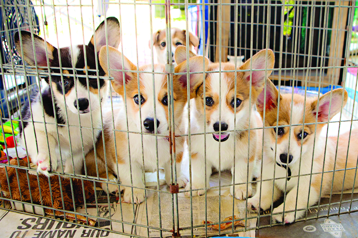 Save Yourself Some&nbsp;Heartache