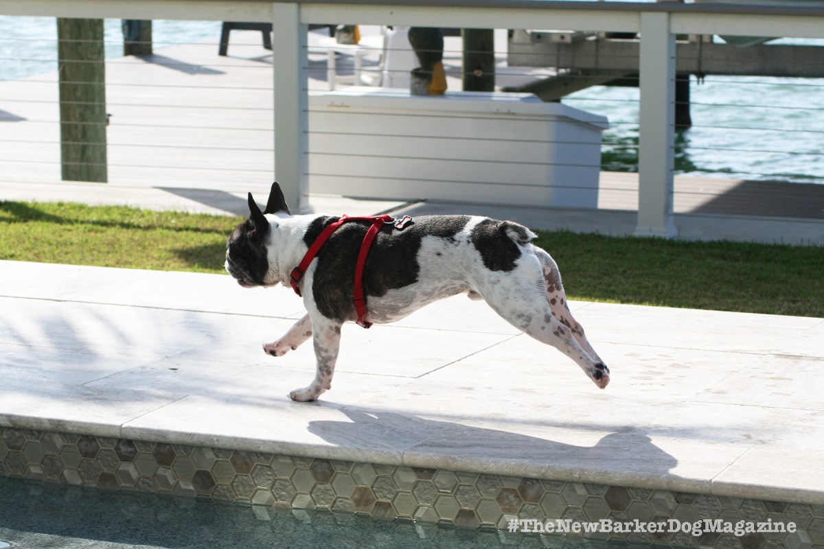 Some Things Bear&nbsp;Repeating