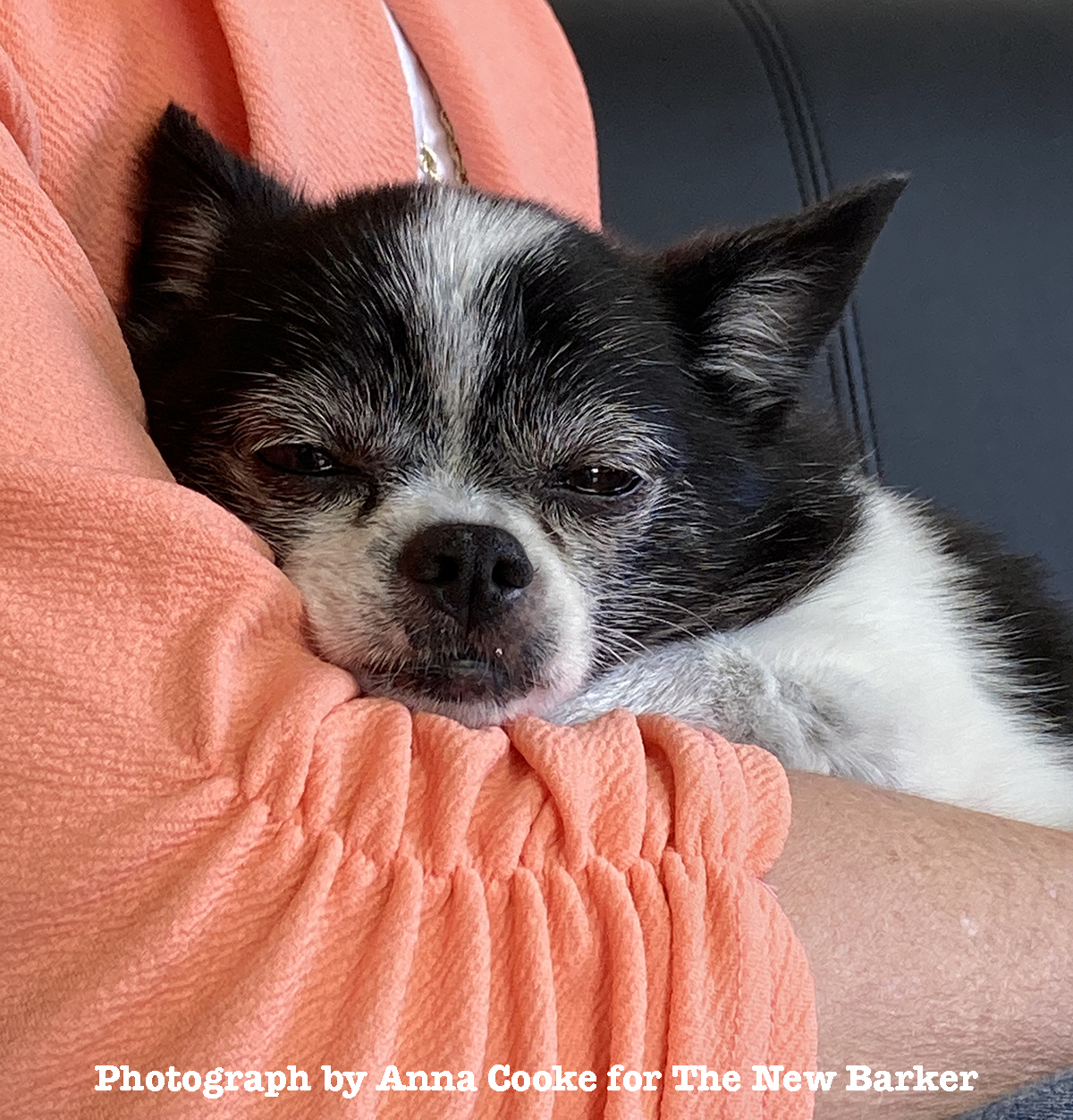 In A Year of So Many Whys and What Ifs, Someone Said, Why&nbsp;Not?